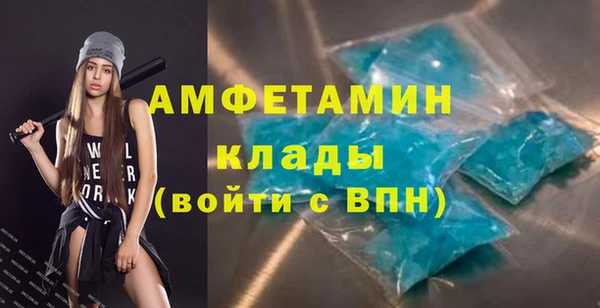 стафф Вязьма