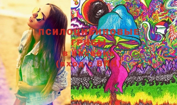 герыч Ладушкин