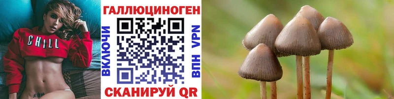 где продают наркотики  Ермолино  гидра онион  Галлюциногенные грибы мухоморы 