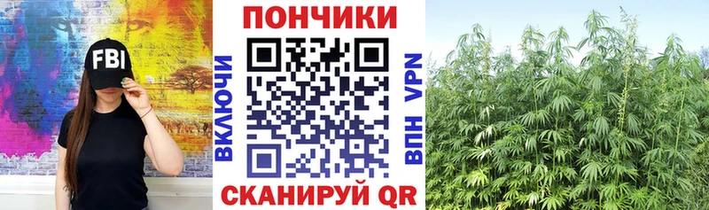 Канабис ГИДРОПОН Ермолино